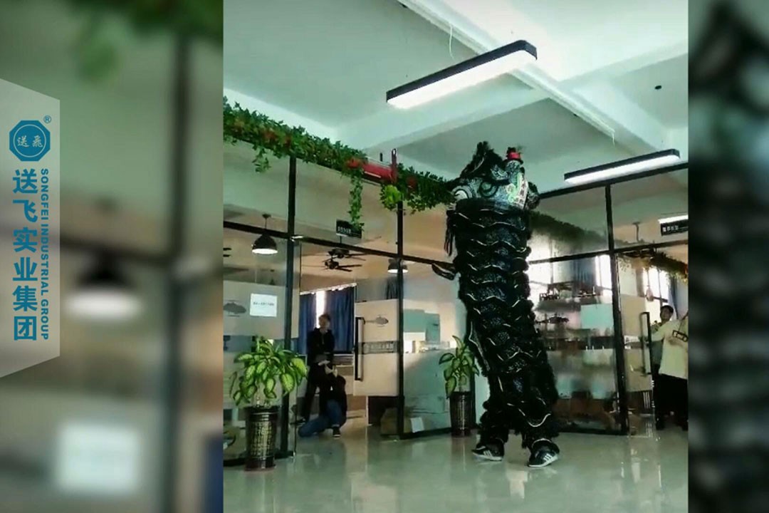 送飛實業集團：正月十五，舞獅鬧元宵 2019